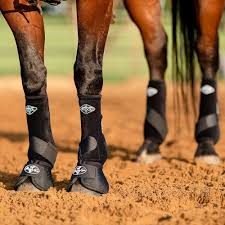 Professional Choice Horse Medicine boots